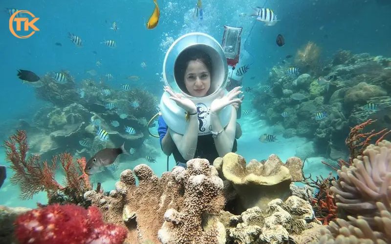 Vịnh san hô Nha Trang là một trong các điểm du lịch Nha Trang nổi tiếng